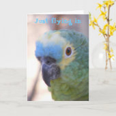 こんにちは カード (黄色い花)