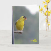 こんにちは カード (黄色い花)