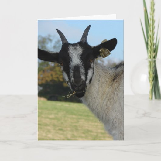 こんにちは カード (正面)