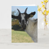 こんにちは カード (黄色い花)