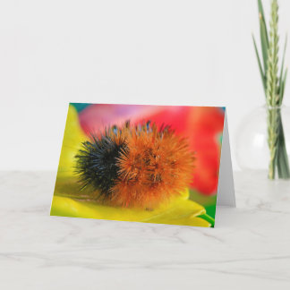 こんにちは カード