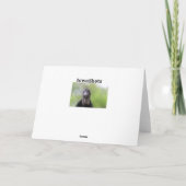 こんにちは カード (裏面)