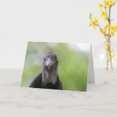 こんにちは カード (黄色い花)