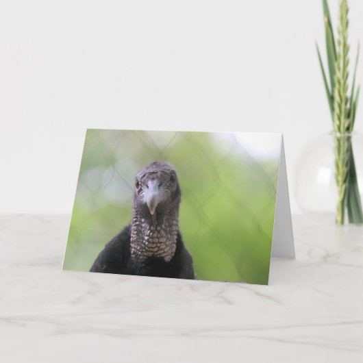 こんにちは カード (正面)