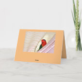 こんにちは! カード (裏面)