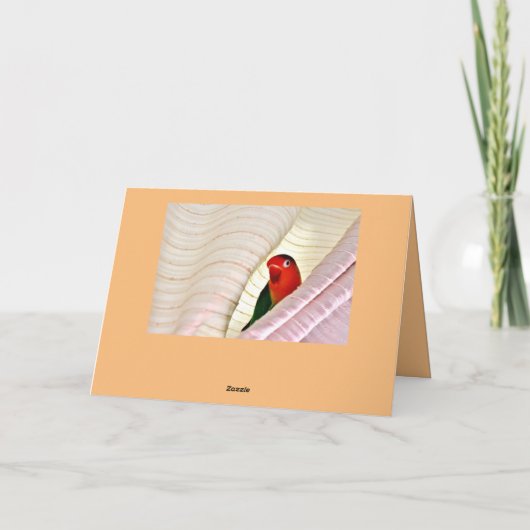 こんにちは! カード (裏面)