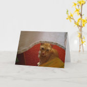 こんにちは カード (黄色い花)