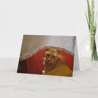 こんにちは カード