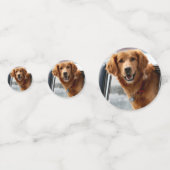 こんにちは コンフェッティ (正面)