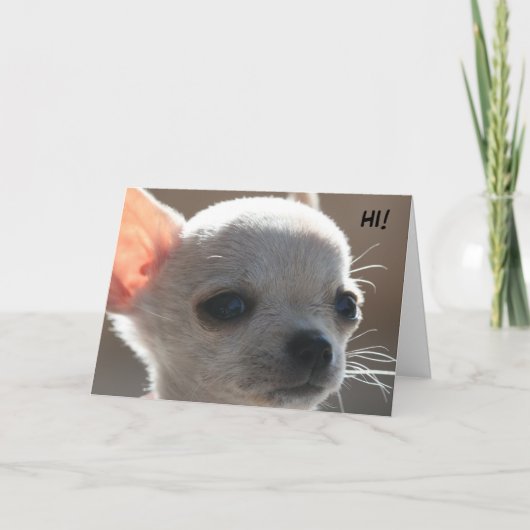 こんにちは! シーズンカード (正面)