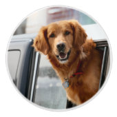 こんにちは セラミックノブ (正面)