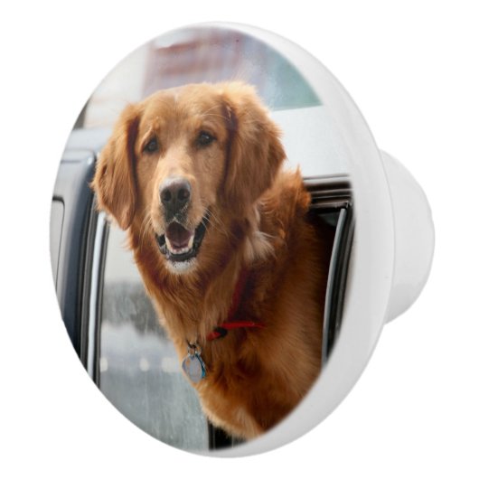 こんにちは セラミックノブ (右)