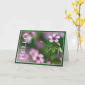 こんにちは-ピンクの木製スイバの挨拶状 カード (黄色い花)