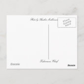 こんにちは…フィッシャーマンズワーフ ポストカード (裏面)