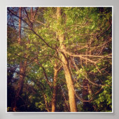 こんにちは ポスター (正面)