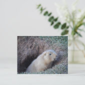 こんにちは ポストカード (スタンド正面)