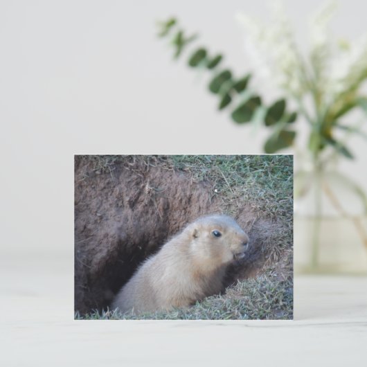 こんにちは ポストカード (スタンド正面)