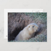 こんにちは ポストカード (正面/裏面)