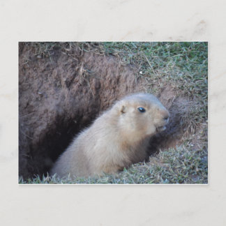 こんにちは ポストカード