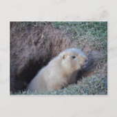 こんにちは ポストカード (正面)