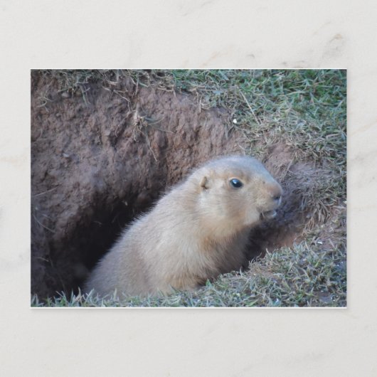 こんにちは ポストカード (正面)