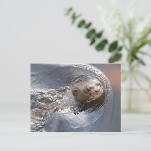 こんにちは ポストカード (スタンド正面)