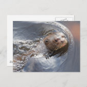 こんにちは ポストカード (正面/裏面)