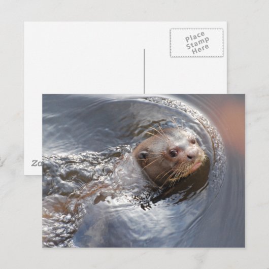 こんにちは ポストカード (正面/裏面)