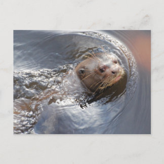 こんにちは ポストカード