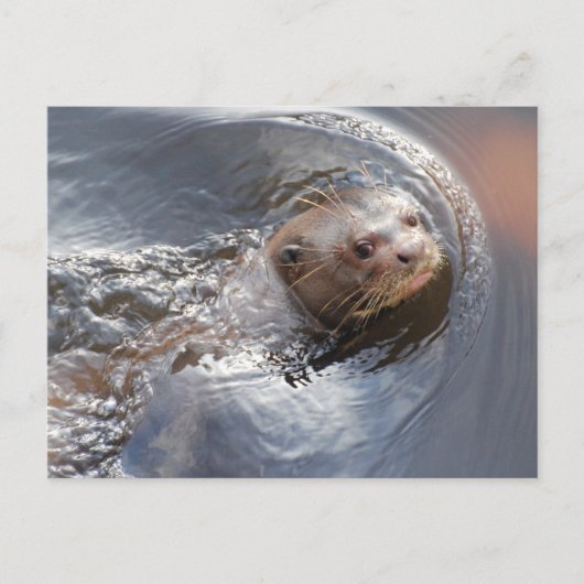 こんにちは ポストカード (正面)