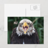 こんにちは ポストカード (正面/裏面)