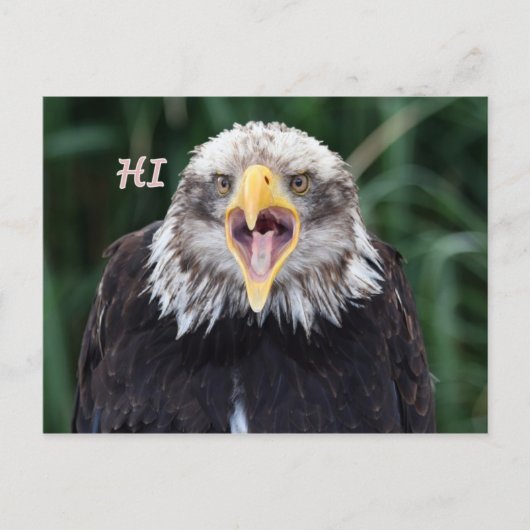 こんにちは ポストカード (正面)