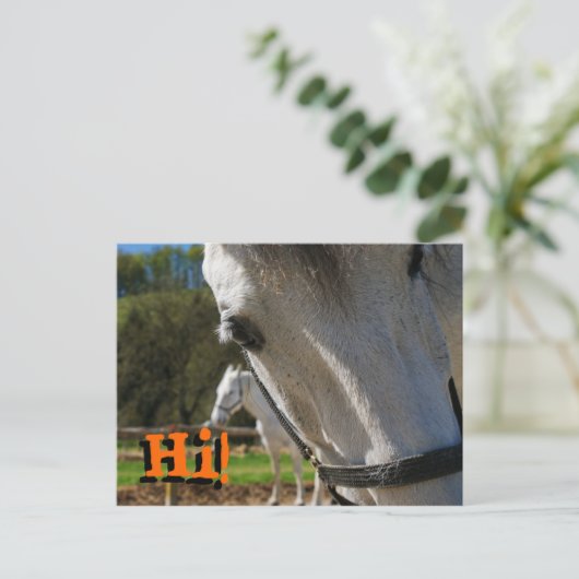 こんにちは! ポストカード (スタンド正面)