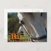 こんにちは! ポストカード (正面/裏面)