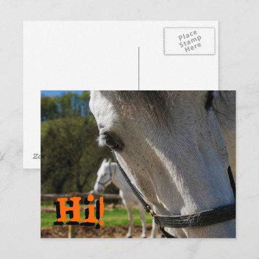 こんにちは! ポストカード (正面/裏面)