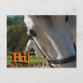 こんにちは! ポストカード (正面)