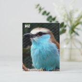 こんにちは! ポストカード (スタンド正面)