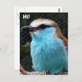 こんにちは! ポストカード (正面/裏面)