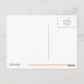 こんにちは! ポストカード (裏面)