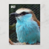 こんにちは! ポストカード (正面)
