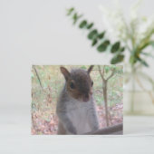 こんにちは! ポストカード (スタンド正面)