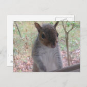 こんにちは! ポストカード (正面/裏面)