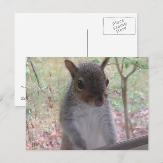こんにちは! ポストカード (正面/裏面)
