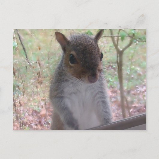 こんにちは! ポストカード (正面)