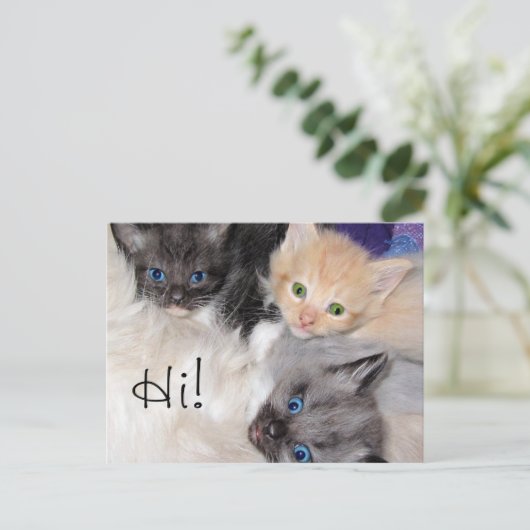 こんにちは! ポストカード (スタンド正面)