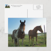 こんにちは ポストカード (正面/裏面)