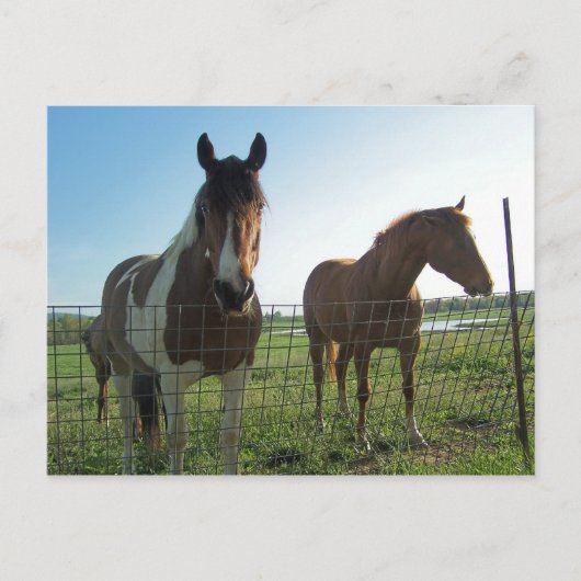 こんにちは ポストカード (正面)