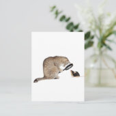 こんにちは?! ポストカード (スタンド正面)