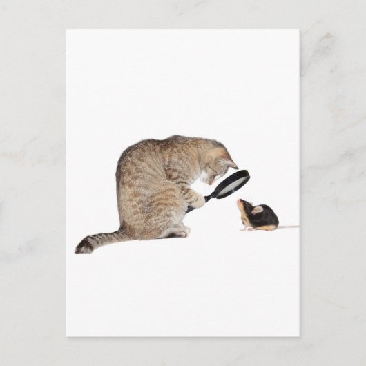 こんにちは?! ポストカード (正面)