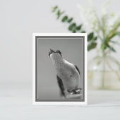 こんにちは ポストカード (スタンド正面)